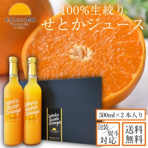 送料無料 宮崎県産せとか使用した100％生絞りジュース