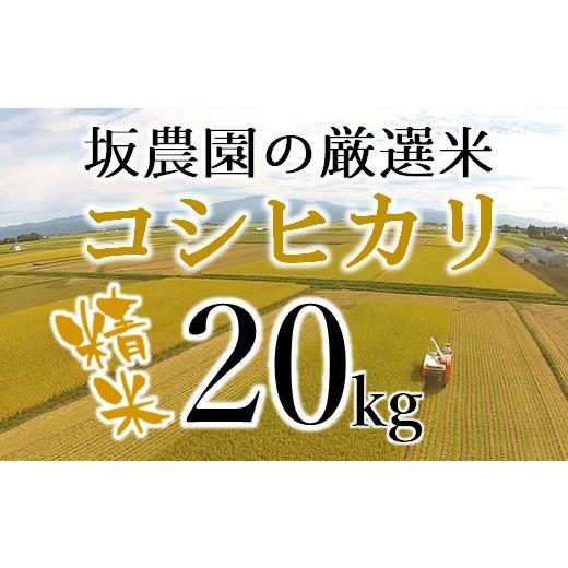 ふるさと納税 山形県 三川町 坂農園の厳選米！コシヒカリ20kg