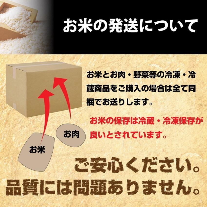 令和4年度産 新米 香川県産 こしひかり 玄米 10kg お歳暮 ギフト 食品 プレゼント 女性 男性 お祝い 新生活