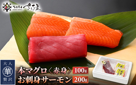 お刺身 セット サーモン 100g × 2P ＆ 本まぐろ 赤身 100g × 1P  [e04-a088]