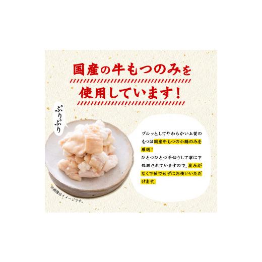 ふるさと納税 福岡県 小竹町 博多もつ鍋（醤油味）3人前セット 送料無料 ギフト《30日以内に順次出荷(土日祝除く)》もつ ちゃんぽん 贈り物 プレゼント 株式会…