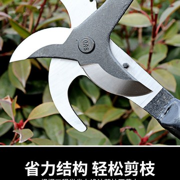 🔥slk嚴選🔥購滿199出貨高枝剪大全高空剪拉繩修枝剪果枝剪樹枝剪子園林省力剪園藝雙頭剪 精選