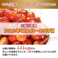 さくらんぼ 先行予約 佐藤錦 松山商店 サクランボ 600g L 厳選品 北海道 仁木町 チェリー 果実 果物 フルーツ お取り寄せ 仁木 2023年7月出荷