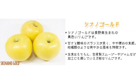 りんご シナノゴールド 家庭用 3kg ファームトヤ 沖縄県への配送不可 2023年11月中旬頃から2023年12月下旬頃まで順次発送予定 令和5年度収穫分 信州 果物 フルーツ リンゴ 林檎 長野 10500円 予約 農家直送 長野県 飯綱町 [1422]