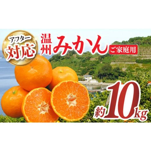 ふるさと納税 長崎県 長与町 みかん 約 10kg（100〜120個）  ／ 長与町 ＜長崎西彼農業協同組合 長与支店＞ [EAH003] 温州みかん みかん10kg 温州…