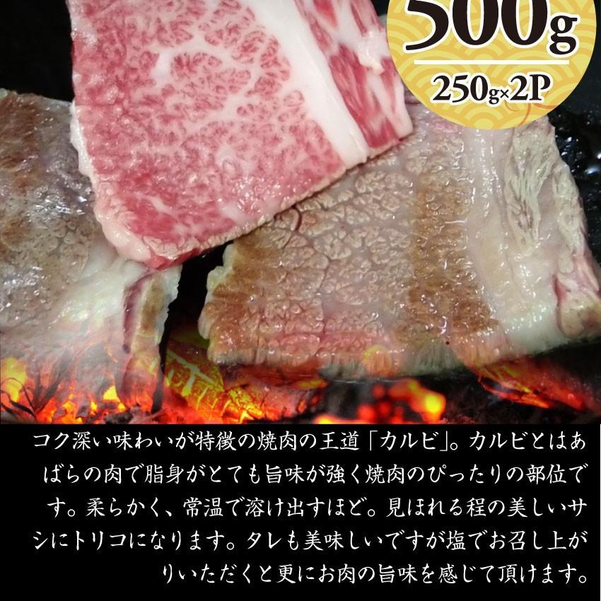 牛肉 肉 特松 福袋 黒毛和牛 A4 A5等級のみ使用 1.6kg 凍眠 テクニカン 肉の福袋 3種 超豪華福袋セット お歳暮 ギフト 食品 お祝い