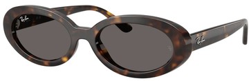 RAY BAN 亞洲版 復古橢圓膠框太陽眼鏡 RB2223F 902/B1 深玳瑁框深灰鏡片 公司貨
