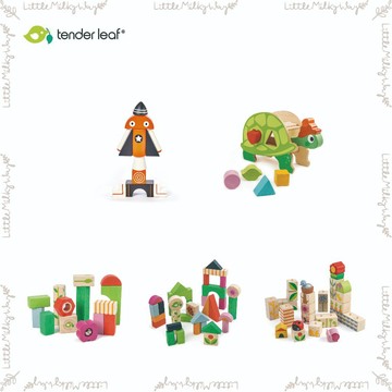【LMW親子選品】🌿美國 Tender Leaf - 浪漫花園 烏龜形狀 浪漫庭園 積木組 銀河系磁力積木🌿木質玩具