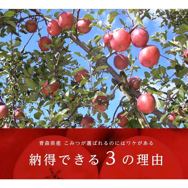 送料無料 青森県産 りんご こみつ(少し訳あり)6〜13玉 約2kg