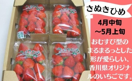 フルーツ 定期便 特産果実 年間6回