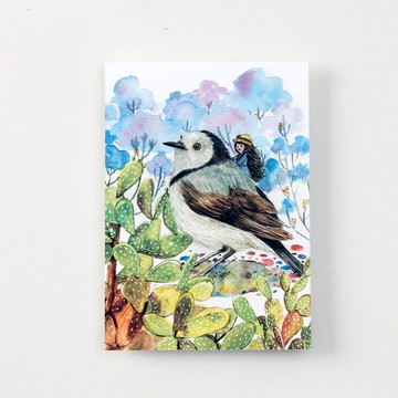 BIRDER系列 - White-fronted Chat