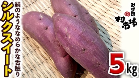 さつまいも 「 シルクスイート 」 5kg 旬 甘い 芋 いも サツマイモ スイーツ 野菜