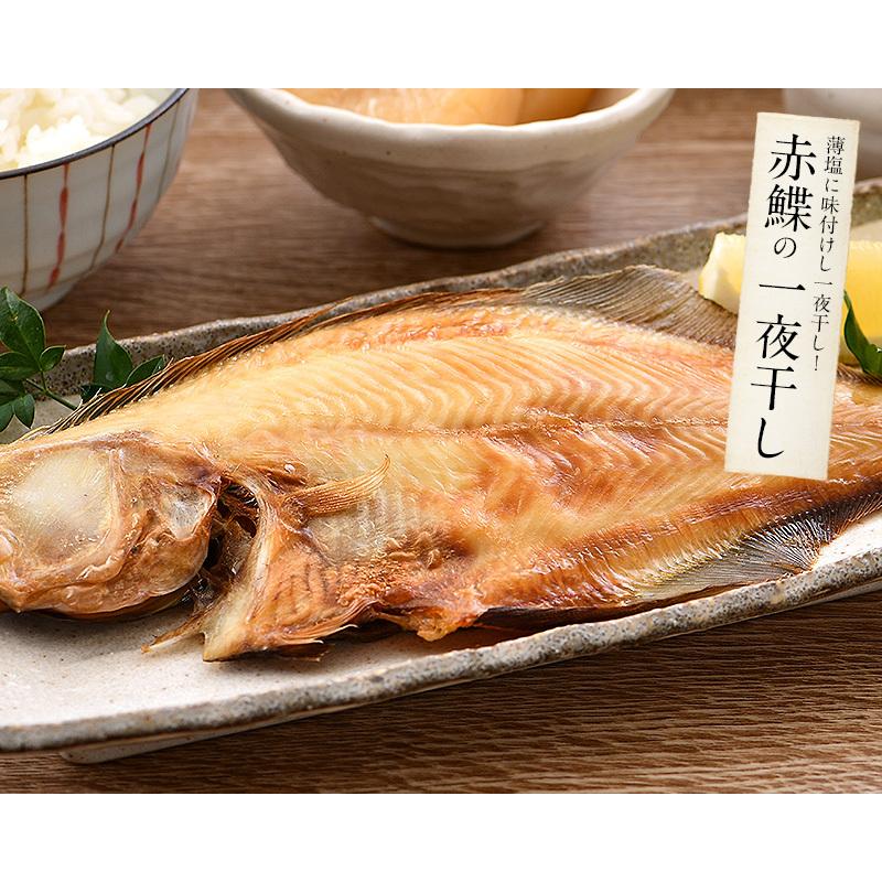 干物 漬け魚 福井の地魚 5種詰め合わせ 真鯛 鰆 サーモン 連子鯛 赤カレイ ギフト 贈り物 プレゼント 冬グルメ 冬ギフト