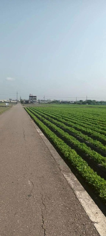 虎尾鎮中溪過溪子優質農地角地大面寬臨路｜雲林縣虎尾鎮過溪