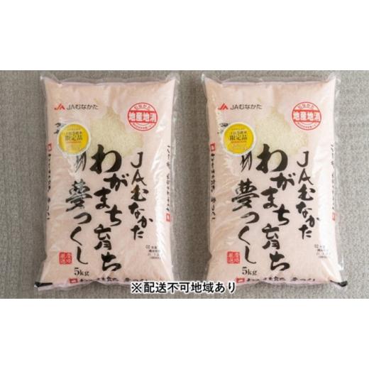 ふるさと納税 福岡県 朝倉市 果物屋さんの夢つくし（米）5kg×2袋