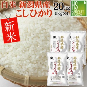 白米 令和5年産 新潟県産コシヒカリ 20kg(5kg×4袋) [翌日配送] 送料無料 北海道沖縄へは別途送料760円