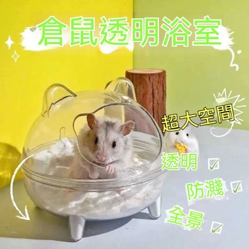 隔日到貨 透明倉鼠浴砂盆 倉鼠浴室 倉鼠浴盆 倉鼠廁所 防噴濺 倉鼠洗澡 倉鼠砂盆 倉鼠浴室廁所 倉鼠沐浴沙 倉鼠便盆