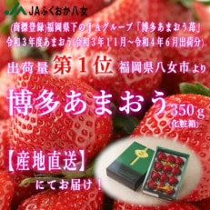 『先行受付』JAふくおか八女より産地直送※12月上旬より順次発送