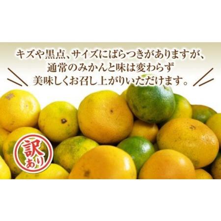 ふるさと納税 青島  訳あり みかん  計 10kg 以上 海塩を与えて栽培 傷み補償分 200g付き 蜜柑 柑橘 オレンジ 果物.. 静岡県沼津市