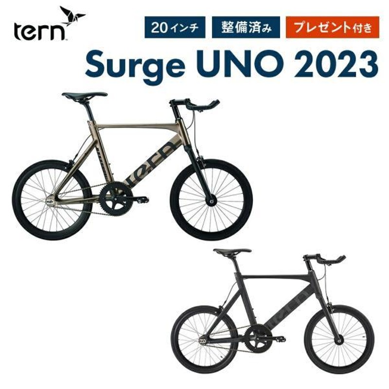 購入後室内にて保管していますtern surge uno 2023年 20インチ