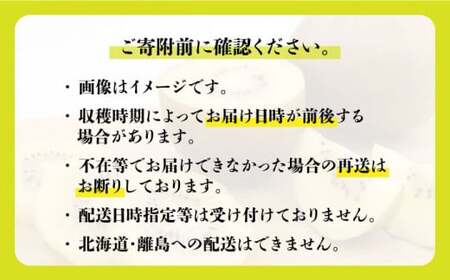 高糖度で酸味控えめ！産地直送キウイフルーツ「甘うぃ」 3.6kg＜一般社団法人地域商社ふるさぽ＞那珂川市 果物 フルーツ キウイ キウイフルーツ 九州産 ギフト プレゼント [GBX007]