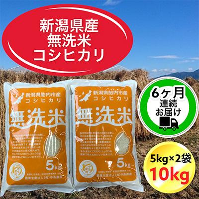 ふるさと納税 胎内市 新潟県胎内市産コシヒカリ無洗米10kg(5kg×2袋)全6回