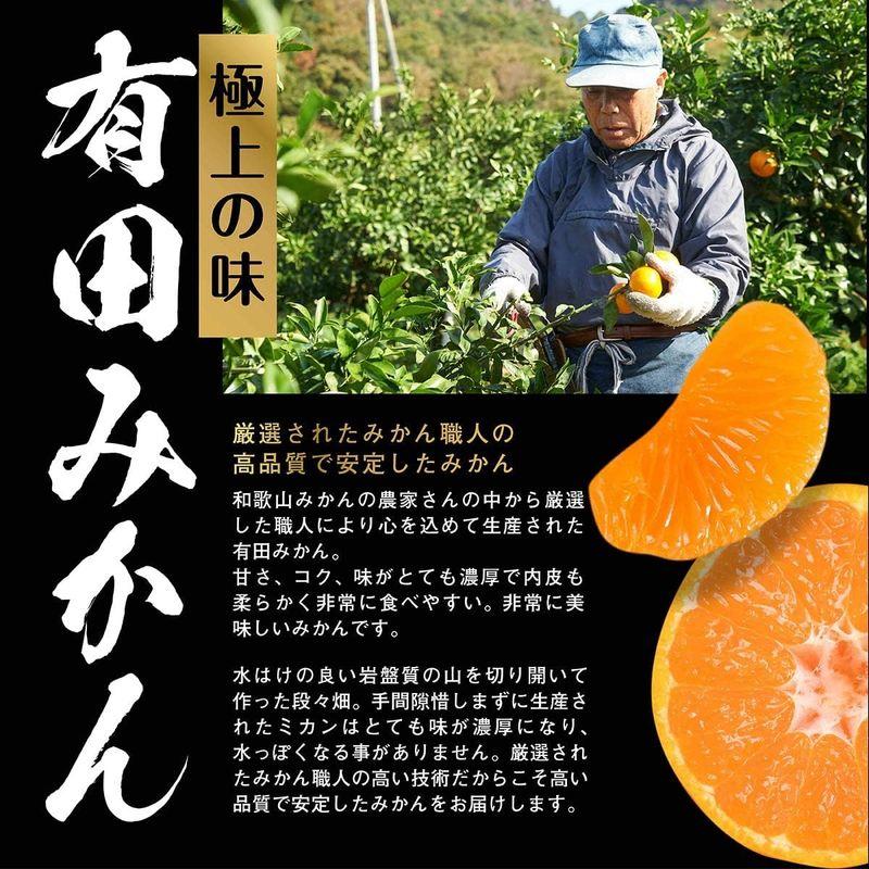 美味いとこどり 高糖度 みかん 和歌山県産 赤秀 有田ミカン (3kg) お歳暮 のし対応可能