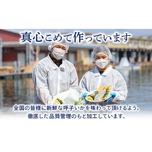 ふるさと納税 佐賀県 唐津市 唐津呼子産いか活造り 1杯(約250g前後) 急速冷凍 新鮮そのまま食卓へ！イカ 刺身 簡単 ギフト