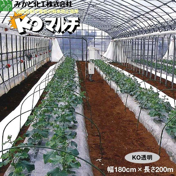 みかど化工 KOマルチ　透明（KON）　厚み0.02mm　幅180cm×長さ200m　無孔　3本セット