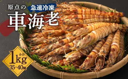 原点の 車海老 ｢急速冷凍｣ 1kg (35～40尾) 500g×2パック