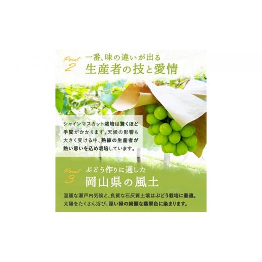 ふるさと納税 岡山県 岡山市 ぶどう 2024年 先行予約 シャイン マスカット 晴王 3〜5房 2kg前後 （10月上旬〜11月下旬発送分） ブドウ 葡萄 岡山県産 国産 フ…