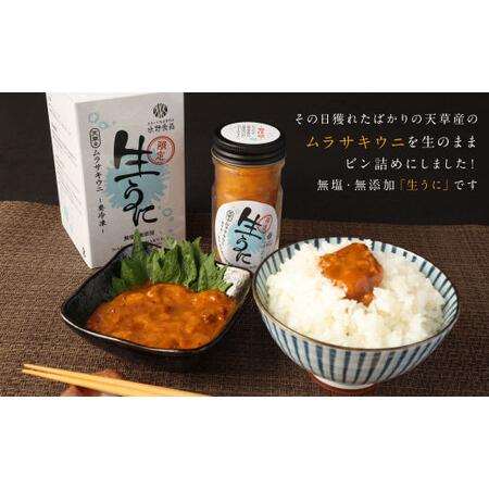 ふるさと納税 殻だし！生うに 180g(60g×3本)『熊本県天草産ムラサキウニ』無塩 無添加 ウニ 雲丹 熊本県上天草市