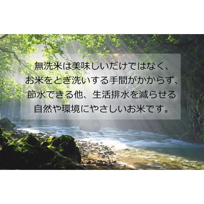 新米 令和5年産 桜並木と雪景色をイメージした オリジナル袋2種 ひとめぼれ10kg (5kg×2) 無洗米 送料無料 宮城県 登米産 ・沖縄県送料2000円