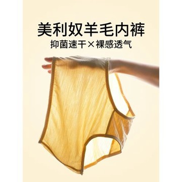 灰殼100%美利奴羊毛速干內褲高腰女戶外抗菌運動透氣美麗諾三角褲