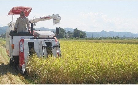 75-3K056新潟県長岡産特別栽培米こしいぶき5kg