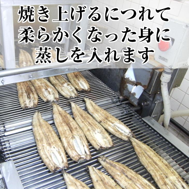 うなぎ 蒲焼 1尾入り 浜名湖産 送料無料 国産 父の日 お中元 土用の丑の日 ギフト お返し 内祝 ウナギ 浜名湖 お取り寄せ 土用の丑 グルメ プレゼント 鰻 蒲焼き