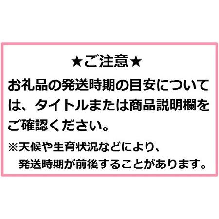 ふるさと納税 高級りんご「はるか」12〜20玉（約5kg） 青森県三戸町