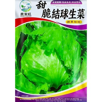 【原廠包裝】美國結球生菜種子 脆甜生菜 免煮沙拉必備 居家水耕/陽台盆栽 四季可種 快速採收 新手友善 家庭菜園首選