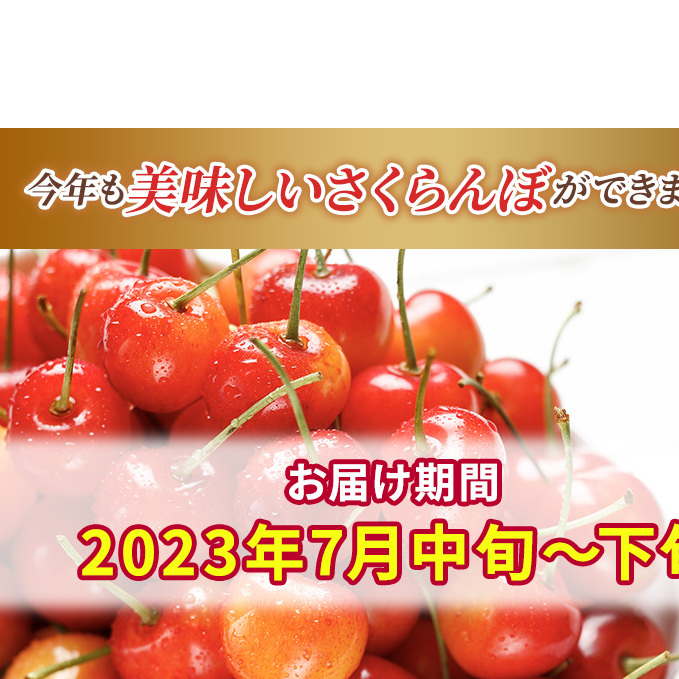 先行受付 2024年7月から出荷 北海道 仁木町産 サクランボ 紅秀峰 800g 厳選品  松山商店