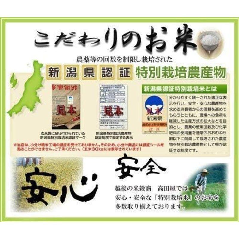 新米 精白米 5kg 令和5年産 新潟県産 ミルキークイーン 安心安全な特別栽培米