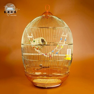 鳥籠 鸚鵡籠 籠子 寵物籠子 觀賞鸚鵡籠百靈畫眉八哥鷯哥虎皮玄鳳大型號金屬金色復古典鳥籠子 免運 開立發票 全館折扣 工廠直銷 售後保障 m5521