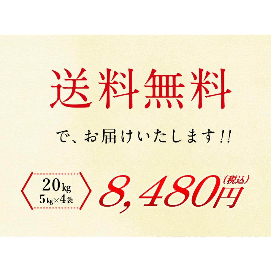 新米 無洗米 北海道産ななつぼし 20kg（5kg×4袋）  送料無料 令和5年産 お米 米 北海道産 20kg 無洗米（北海道・沖縄別途送料）（配達日・時間指定は不可）