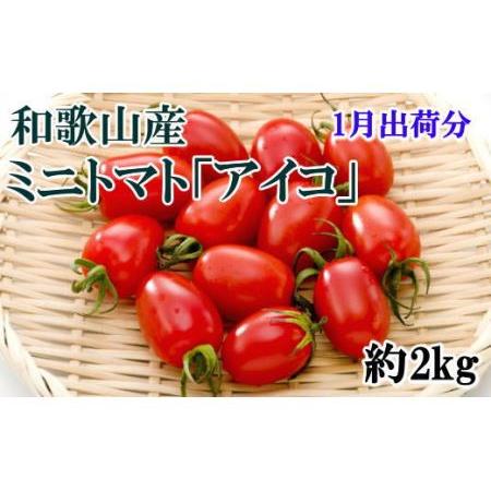 ふるさと納税 和歌山産ミニトマト「アイコトマト」約2kg（S・Mサイズおまかせ） 和歌山県九度山町