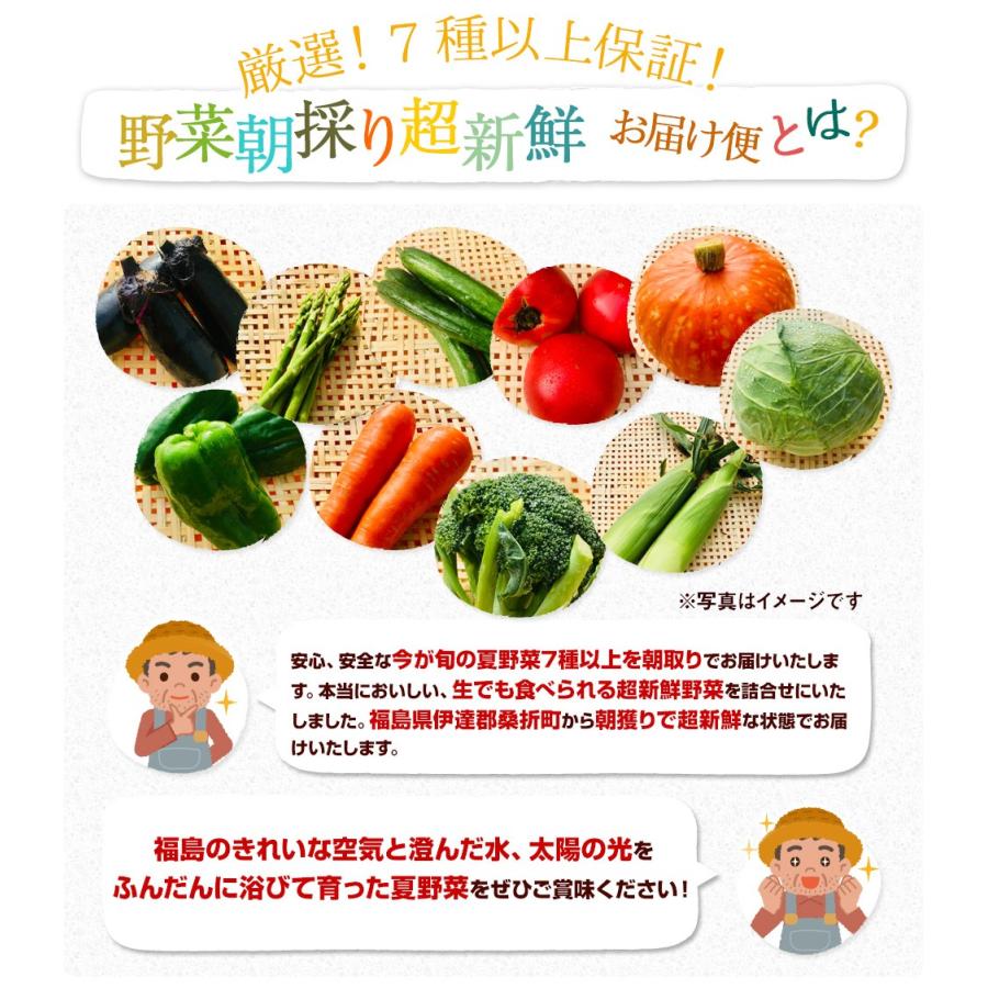 福島県産 野菜7品種詰め合わせ　無農薬 無化学肥料栽培の新鮮野菜を産地直送