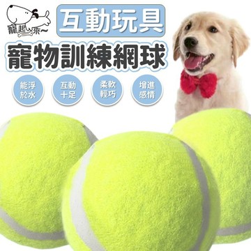 【台灣出貨】寵物網球玩具球｜狗狗訓練網球｜耐咬寵物玩具球｜寵物專用網球｜狗狗互動玩具球｜練習投擲網球｜寵物運動球
