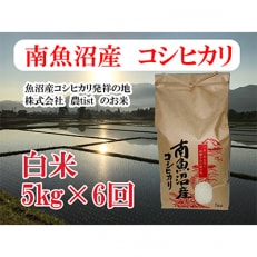 南魚沼産 コシヒカリ 白米5kg 全6回