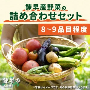 諫早産野菜の詰め合わせ(8～9品目程度)