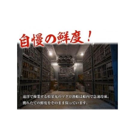 ふるさと納税 南まぐろの大トロ・中トロセット 南まぐろ刺身用大トロ、上トロ、中トロ各1本（約600g） 希少な天然南まぐろをご家庭で.. 鹿児島県いちき串木野市