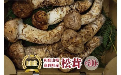 香り高く希少な国産!　松茸　約500g