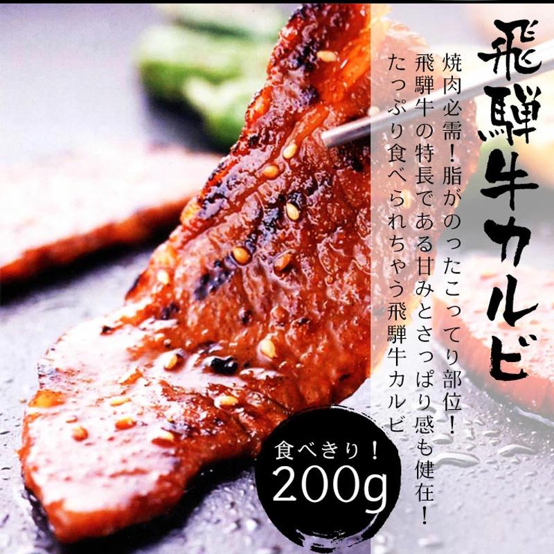 肉  福袋  牛肉 焼肉セット 1kg 飛騨牛 国産豚肉  バーベキュー バーベキューセット 約4〜5人前 黒毛和牛 焼肉 お取り寄せグルメ